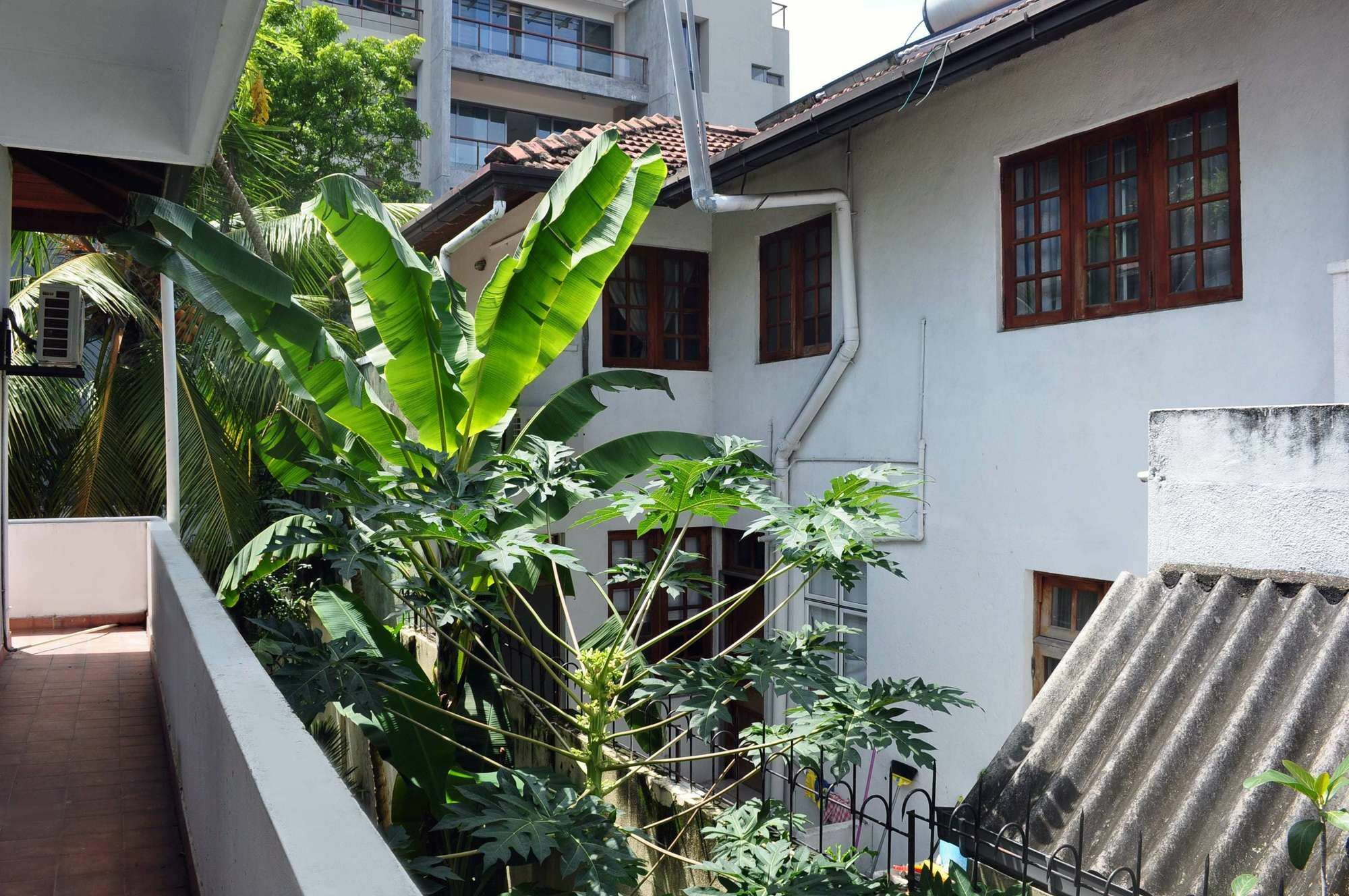 Olu Colombo Villa Eksteriør billede
